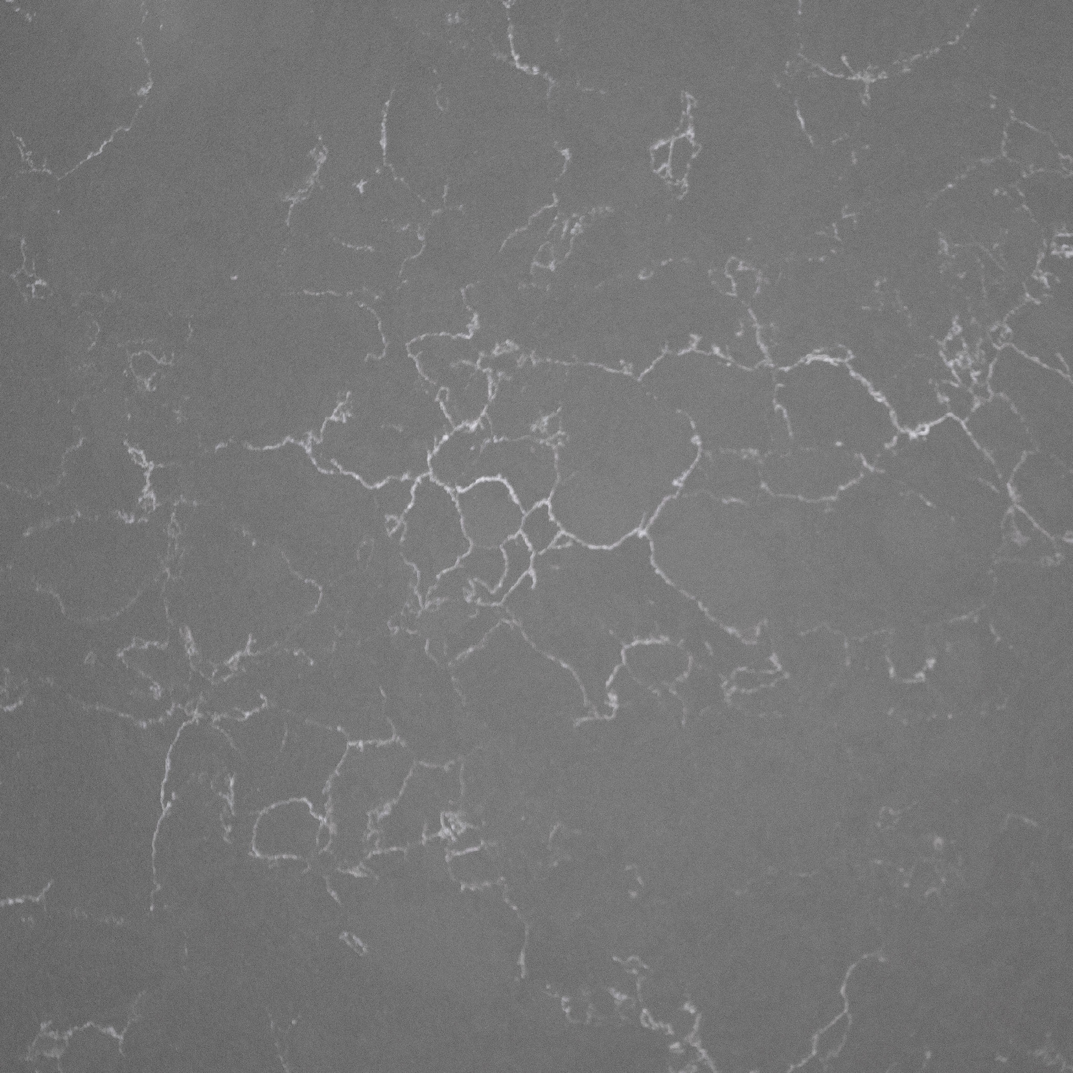 Ancient Grey Grey Quartz Worktop by Artemistone — image 3