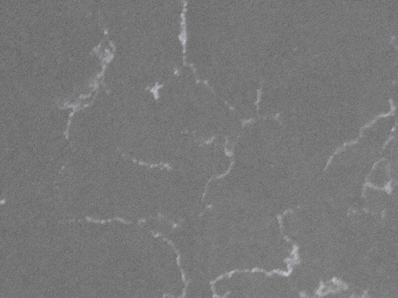 Ancient Grey Grey Quartz Worktop by Artemistone — image 2