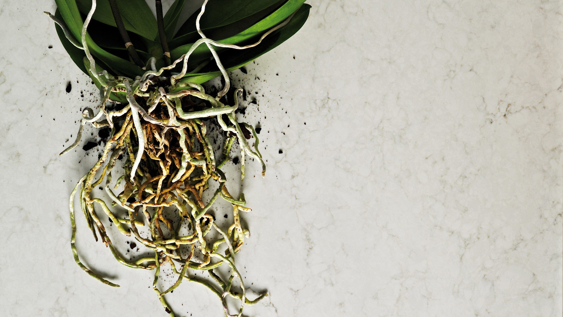 London Grey Caesarstone Greys Quartz Worktop by Caesarstone — image 4