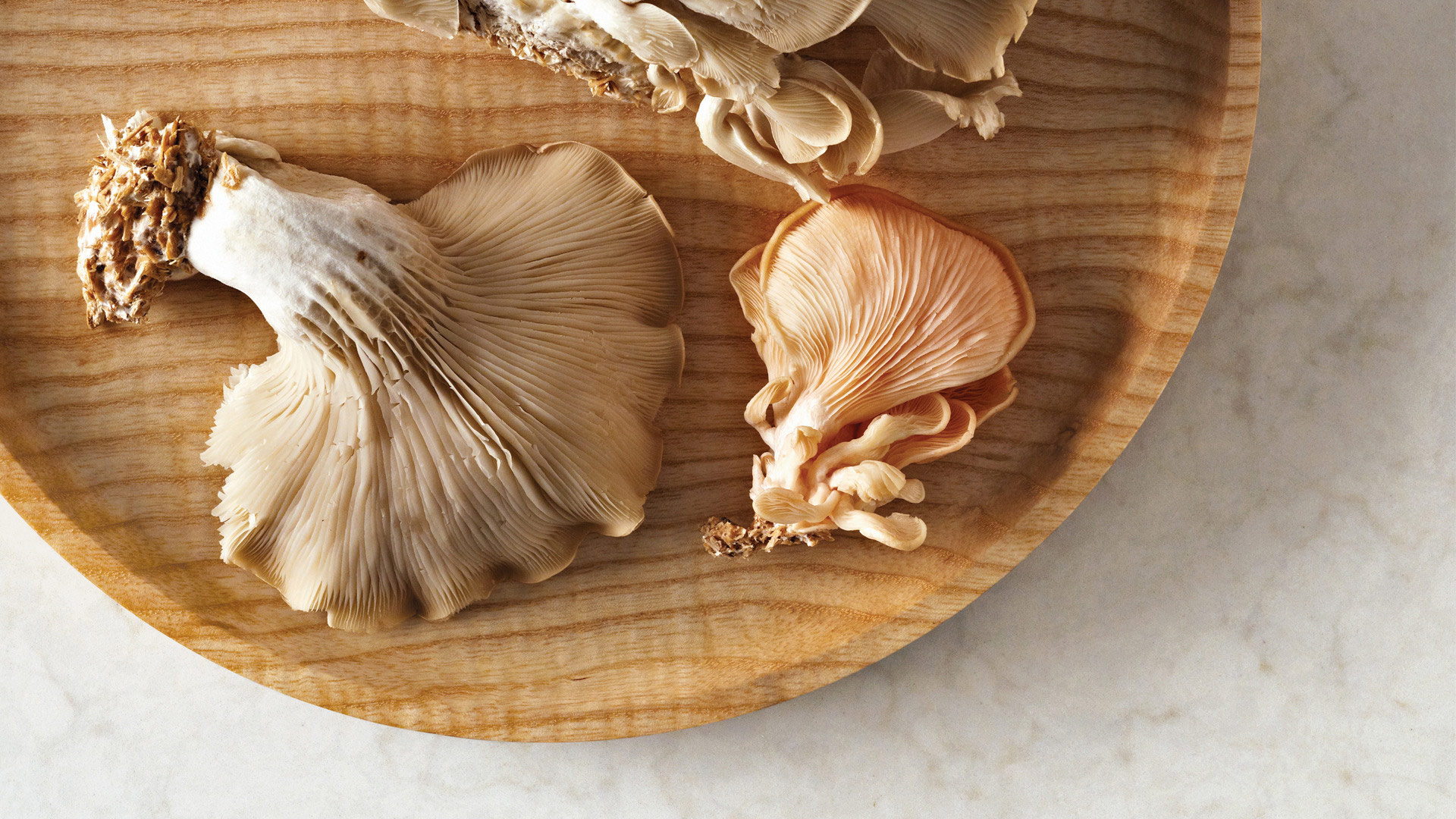 London Grey Caesarstone Greys Quartz Worktop by Caesarstone — image 3