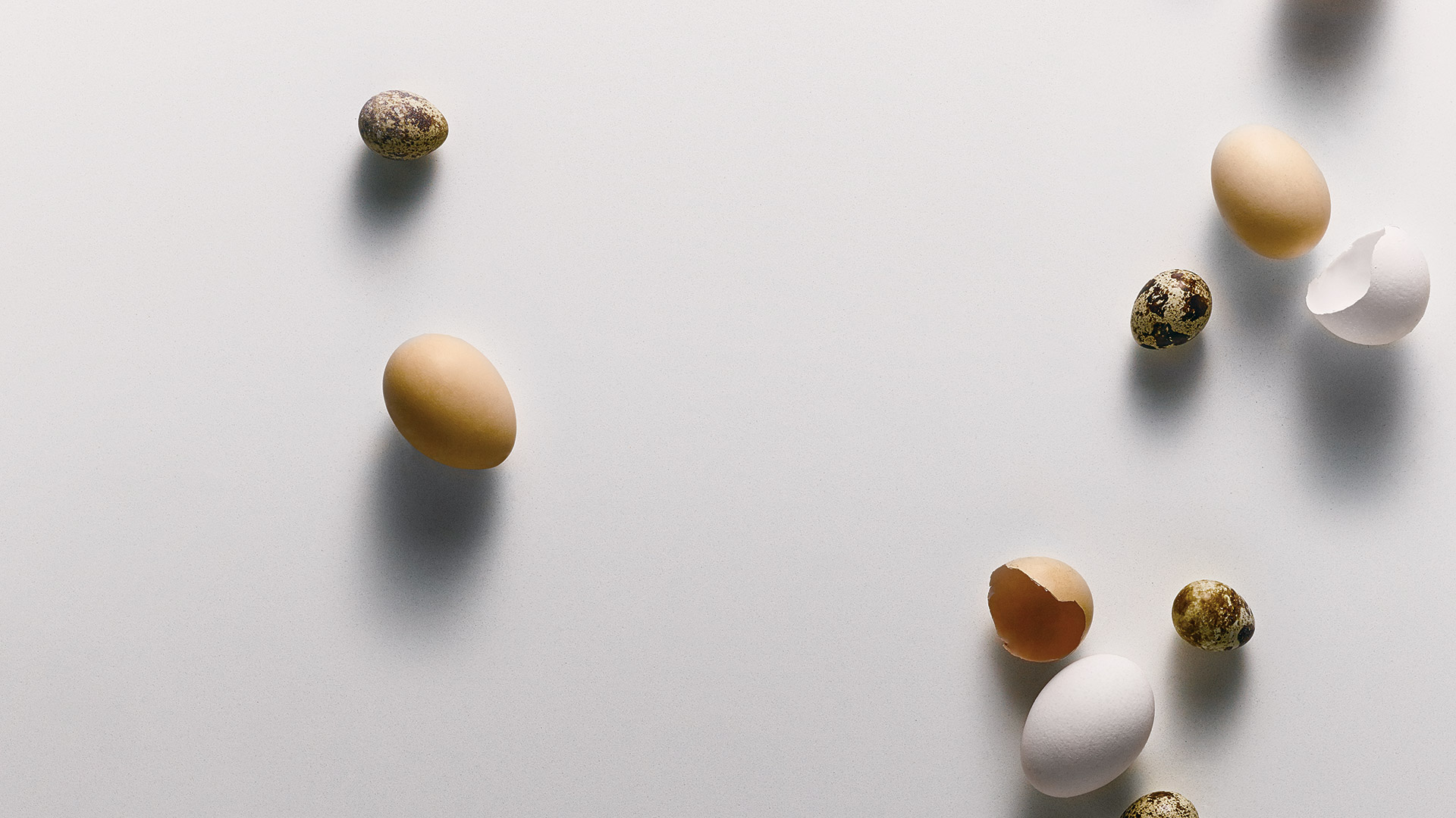 Pure White Caesarstone White Quartz Worktop by Caesarstone — image 3