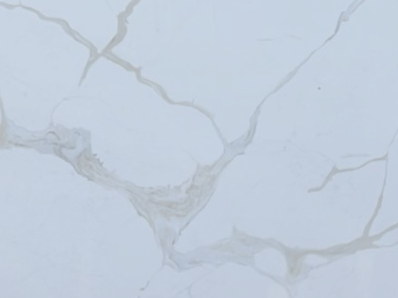 Calacatta Everest Super Jumbo White Quartz Worktop by iStone